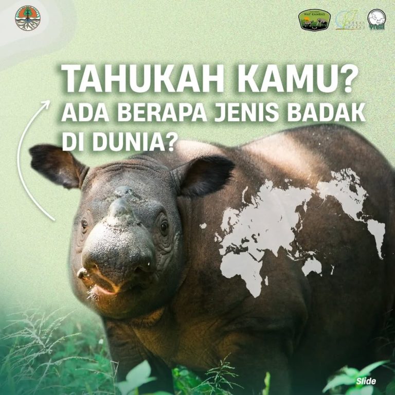 SaveClip.App_383816871_1508512949896847_4597082019181785479_n