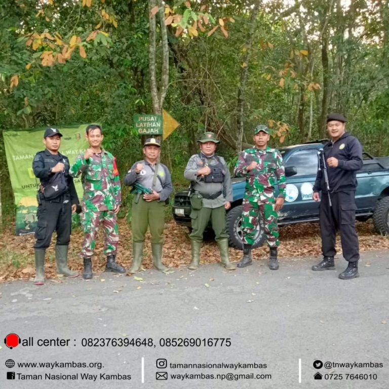 SaveClip.App_384151727_861004501879749_5577671935937472890_n