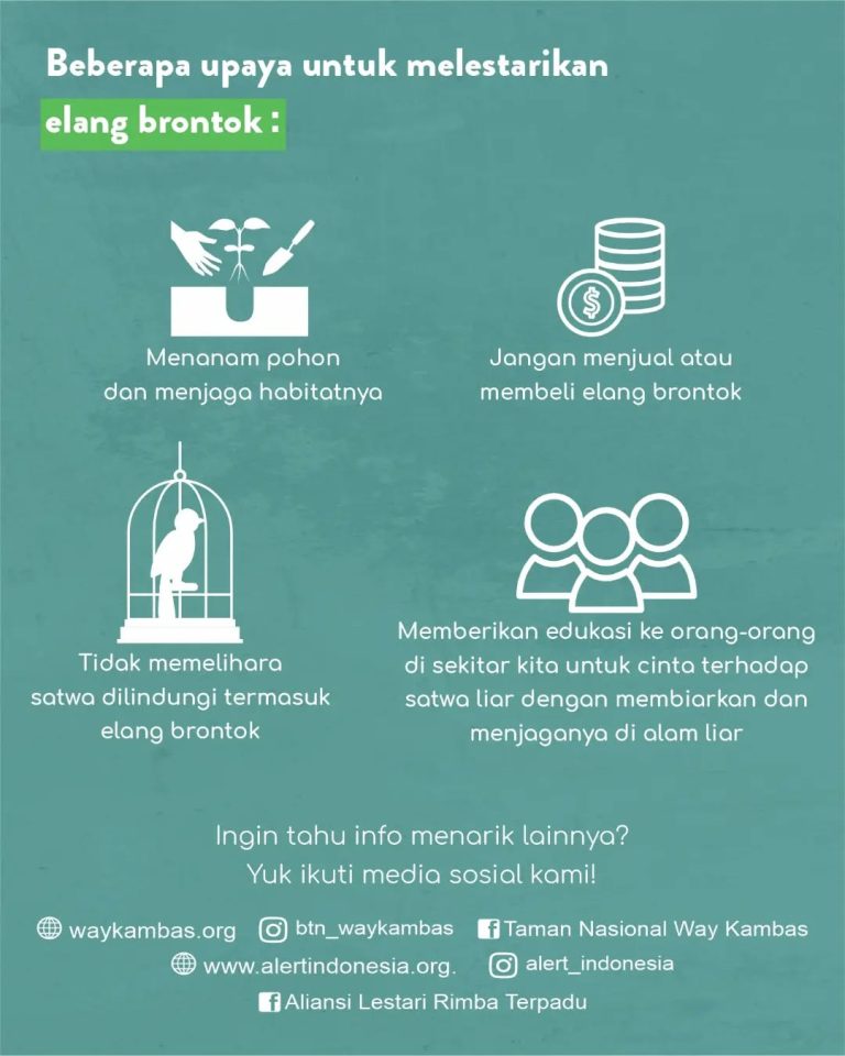 SaveClip.App_402107997_1105084920848700_7804794142148914018_n