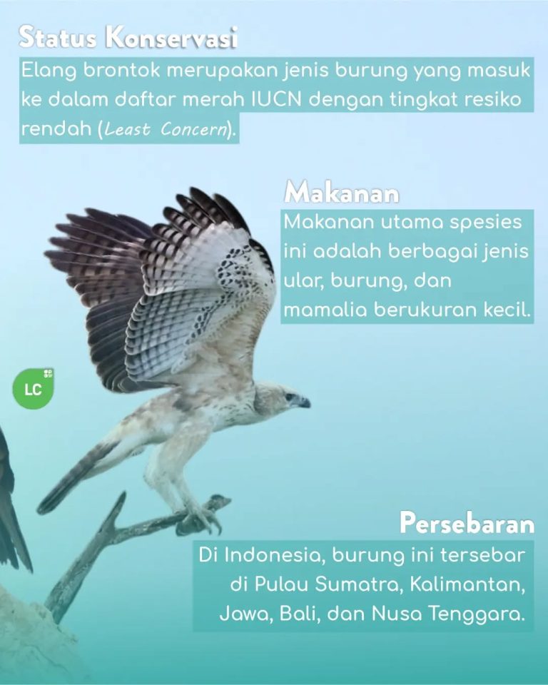 SaveClip.App_402320447_2187436834785697_9177647331830234345_n