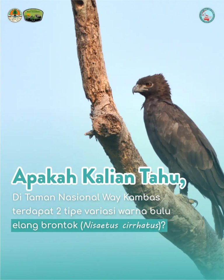 SaveClip.App_403268331_992079745230035_6190288397217387362_n