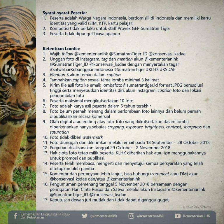 SaveClip.App_40736978_470360053474008_7903176715786239708_n