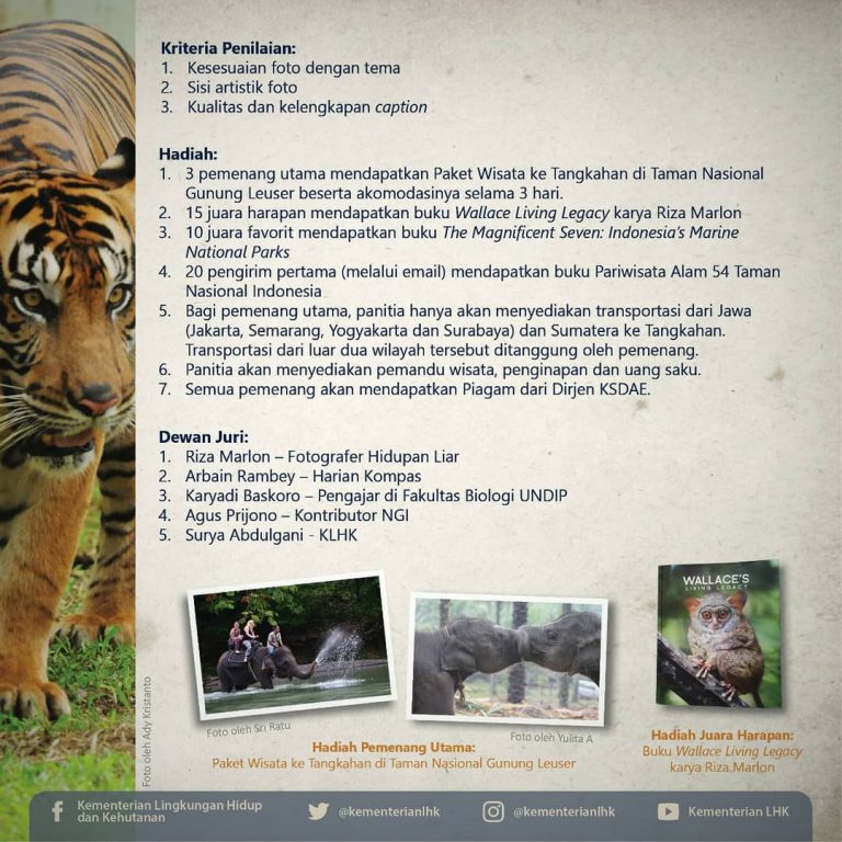 SaveClip.App_40901727_510443246099257_126313323873795196_n