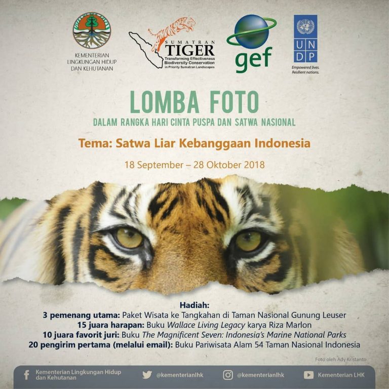 SaveClip.App_40994018_1070035333177257_1600855300602099233_n