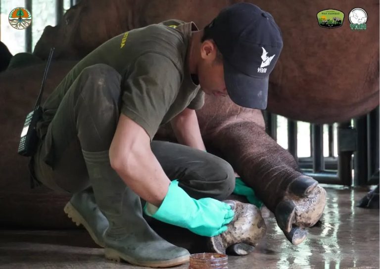 SaveClip.App_420580201_3775925635969784_1803860128978532191_n