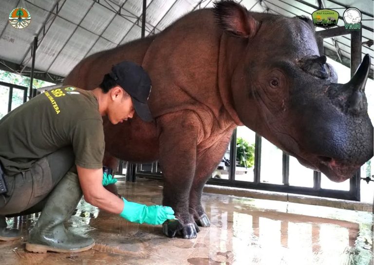 SaveClip.App_429317337_236011546255196_2364308989379196714_n