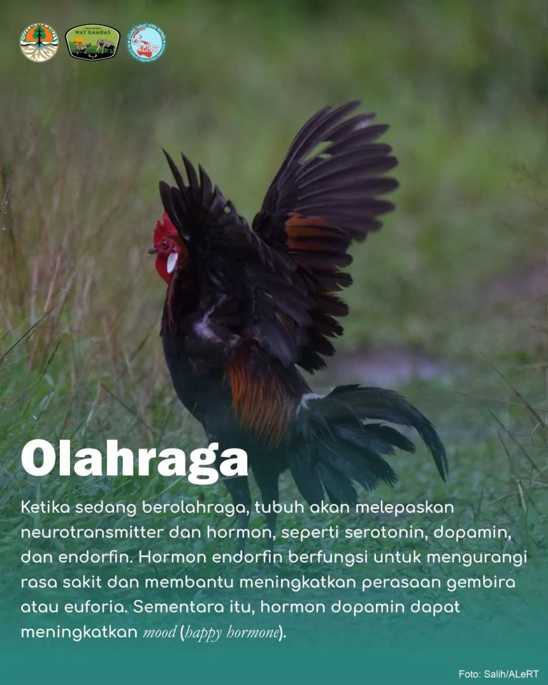 SaveClip.App_429334677_7723894500963164_4004098401482753137_n