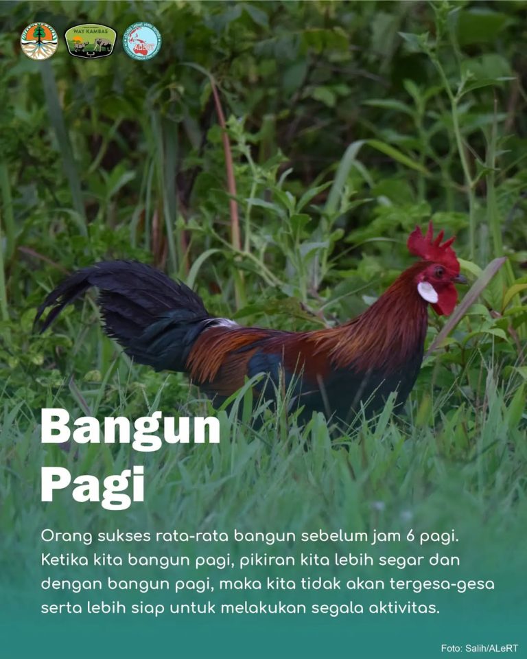 SaveClip.App_429458340_373855905567213_2796520793305748116_n