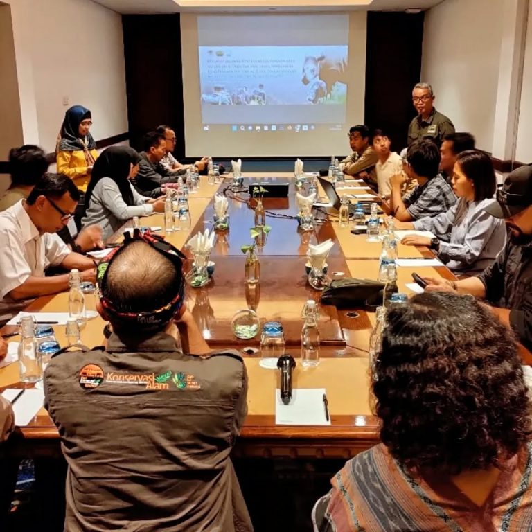 SaveClip.App_429481061_1061039288487496_8586164641357544208_n