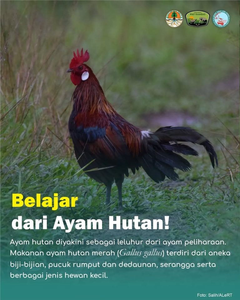 SaveClip.App_429567869_1623346485160930_1130047436863182508_n