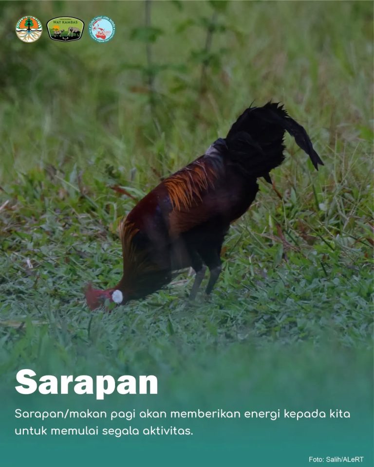 SaveClip.App_429573458_1059571181773796_5128209750541476431_n