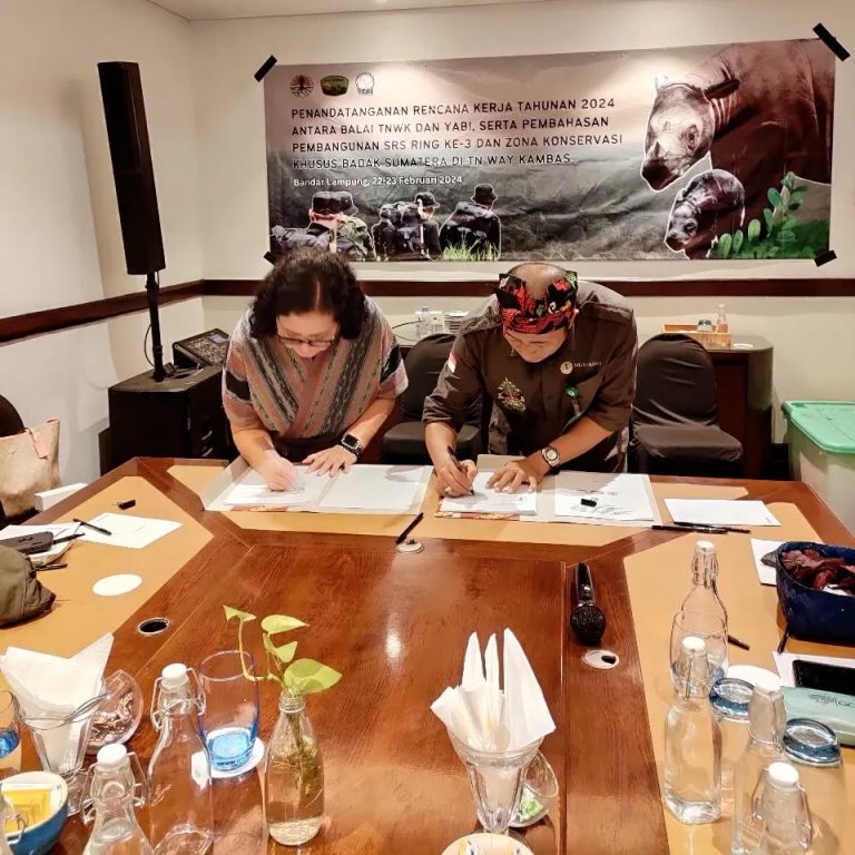 SaveClip.App_429711101_1408170446752128_565651723989946722_n