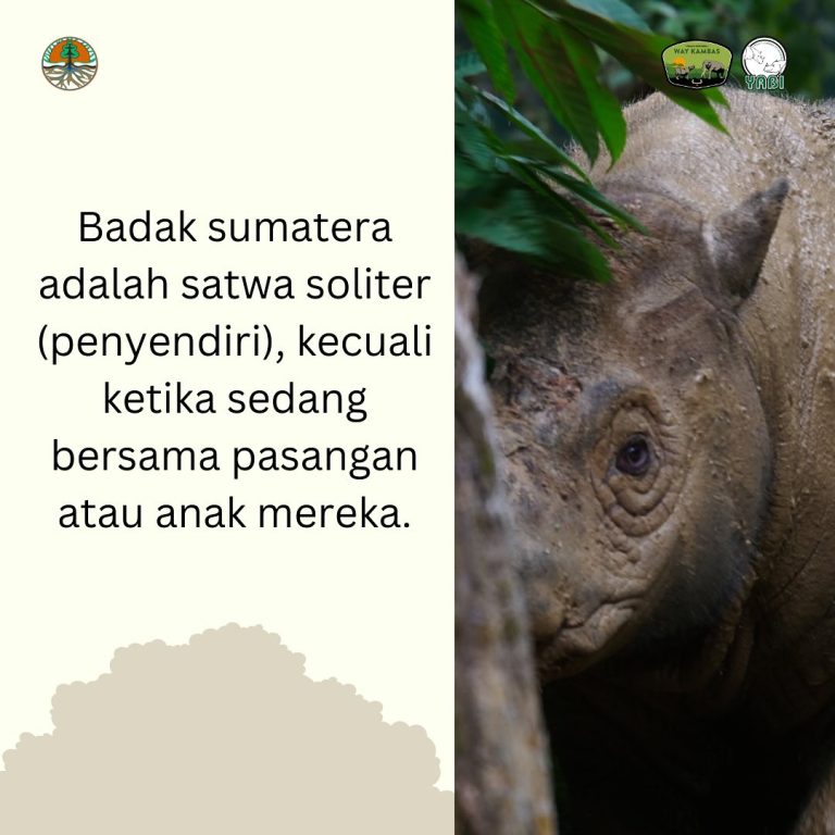 SaveClip.App_432660882_18347816620101684_2168653788376959945_n