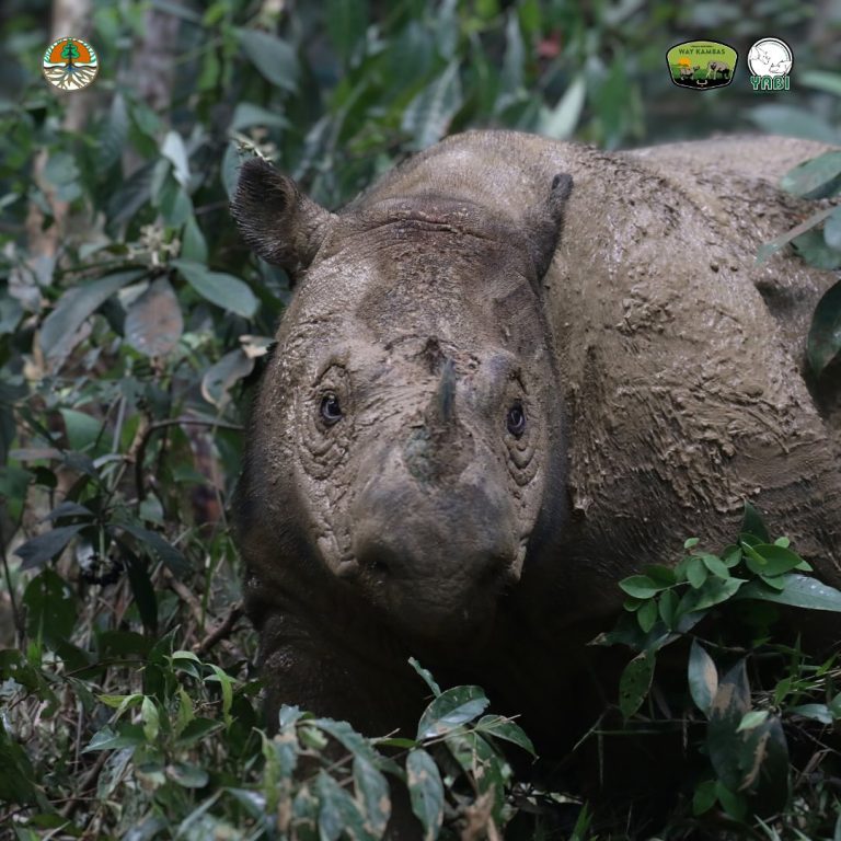 SaveClip.App_433184668_18347816611101684_550516092540296708_n