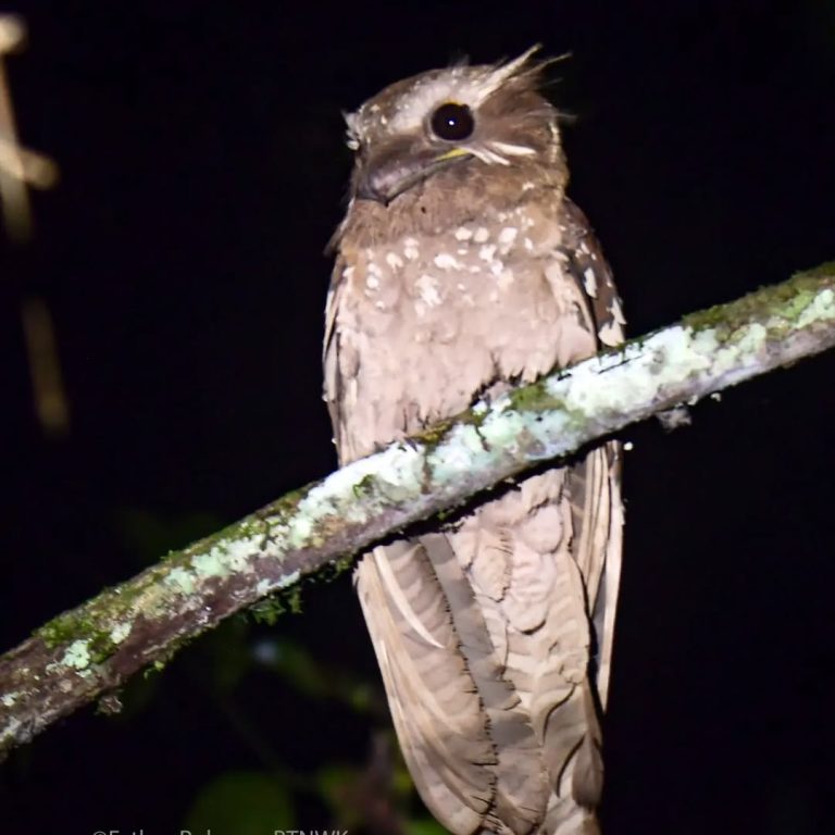 SaveClip.App_436199044_7424589697596746_6956047536955367091_n