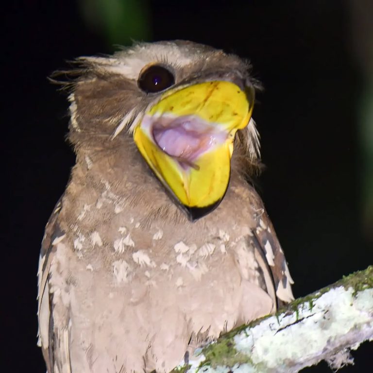 SaveClip.App_441728531_1781016235762332_5076132716231894548_n