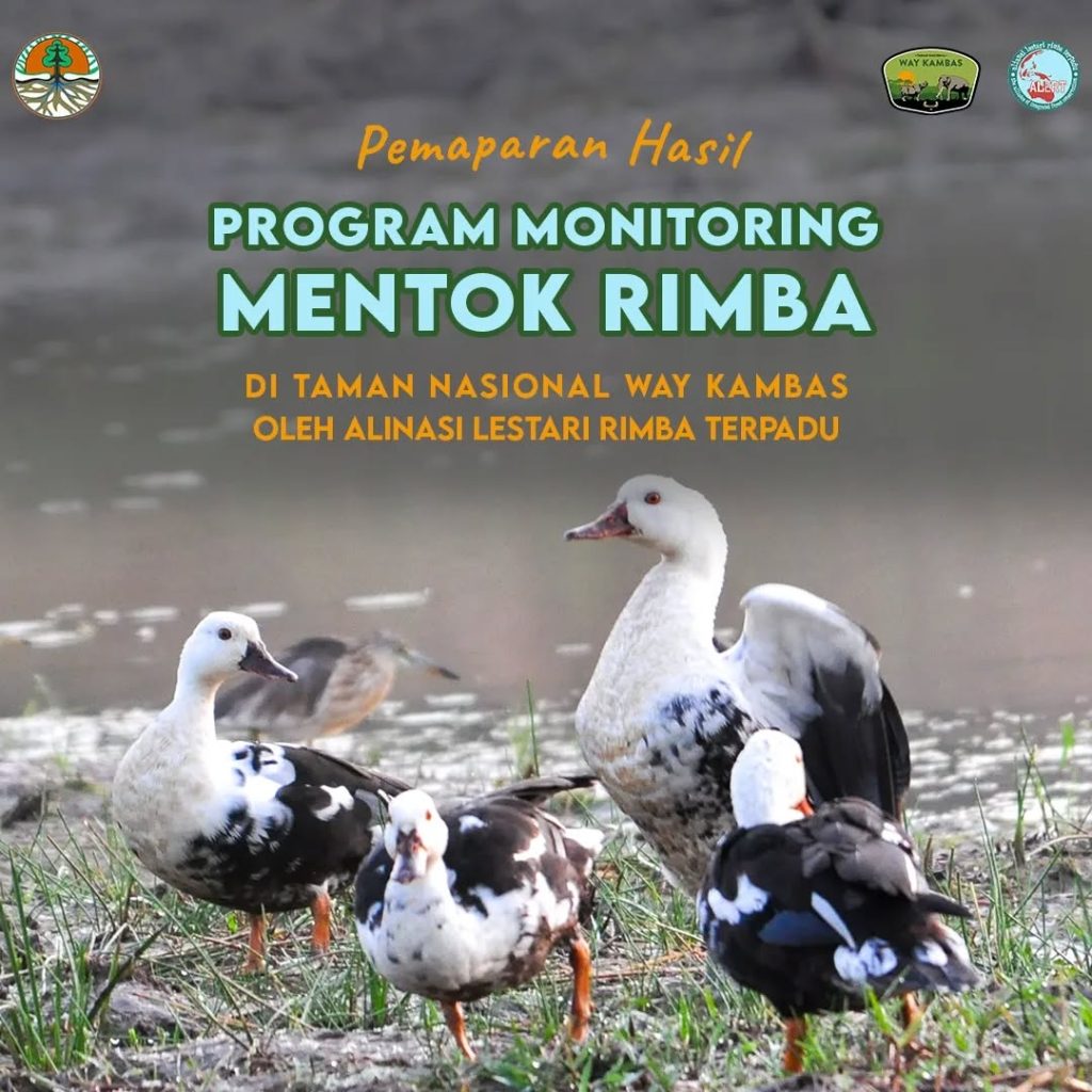 SaveClip.App_456070083_493270593312755_769572573159868505_n