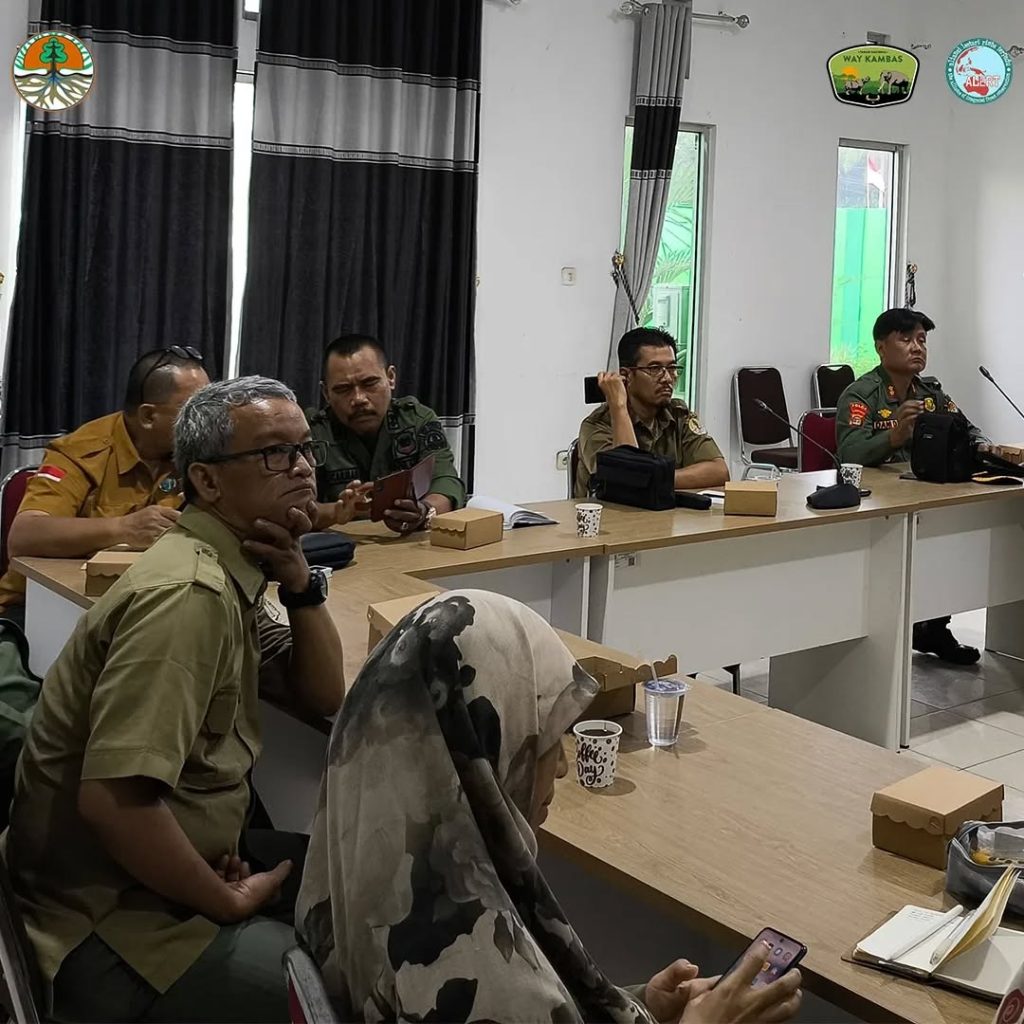 SaveClip.App_456553353_1593993087862687_5410850285444024388_n