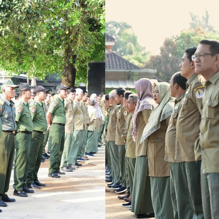 SaveClip.App_458254539_3516002365358559_8015981498815392728_n