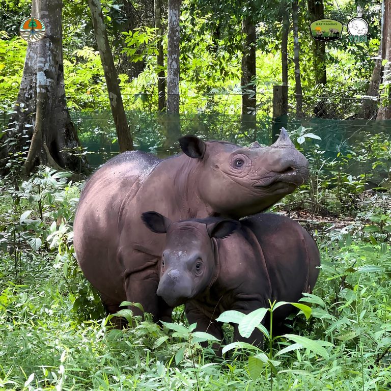 SaveClip.App_468616276_18385933381101684_8478167178449787777_n