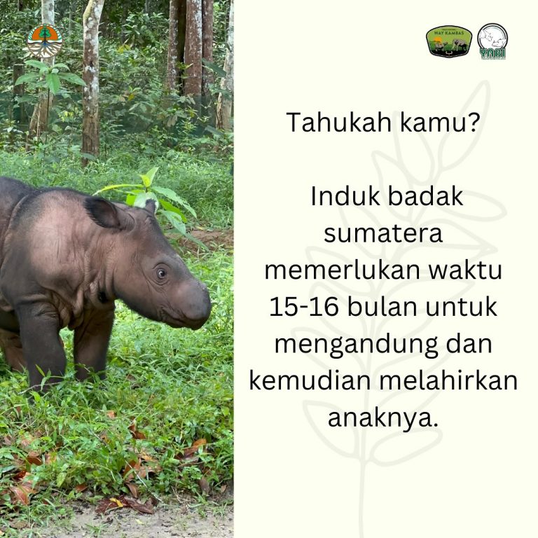 SaveClip.App_468670785_18385933243101684_2614740156194660161_n