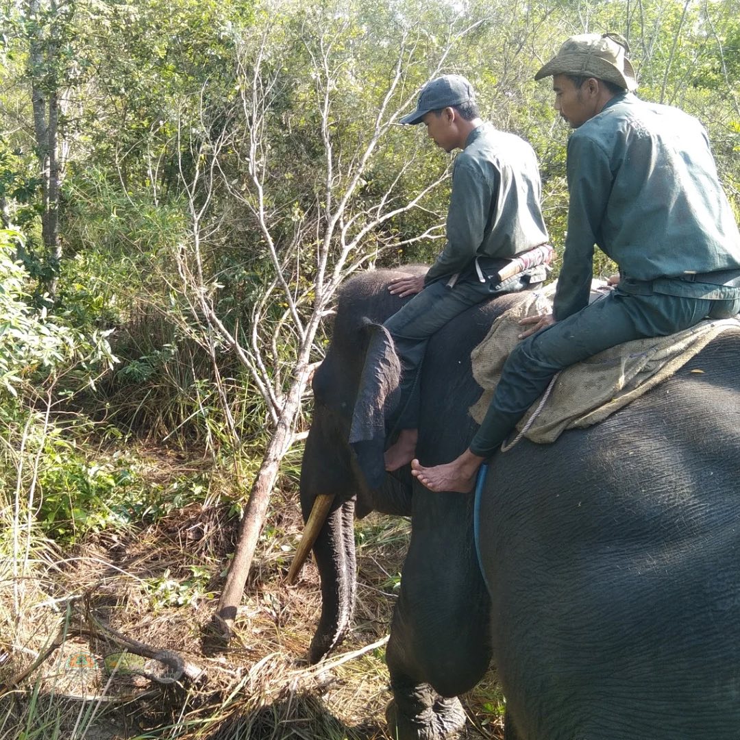 SaveClip.App_468905745_18207912412295381_2632213313401774089_n