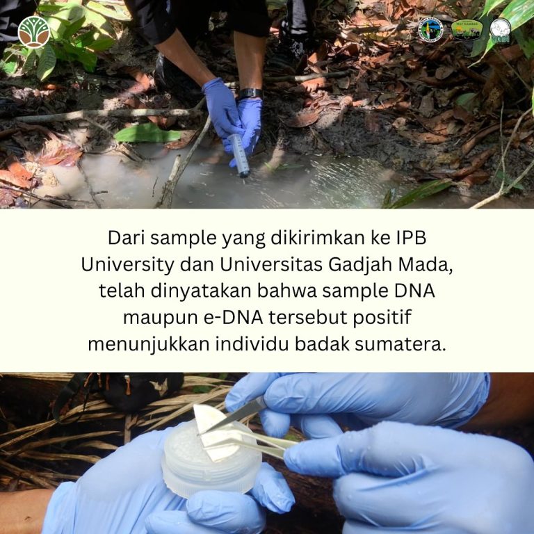 SaveClip.App_474240917_18394344670101684_3627399593774497042_n