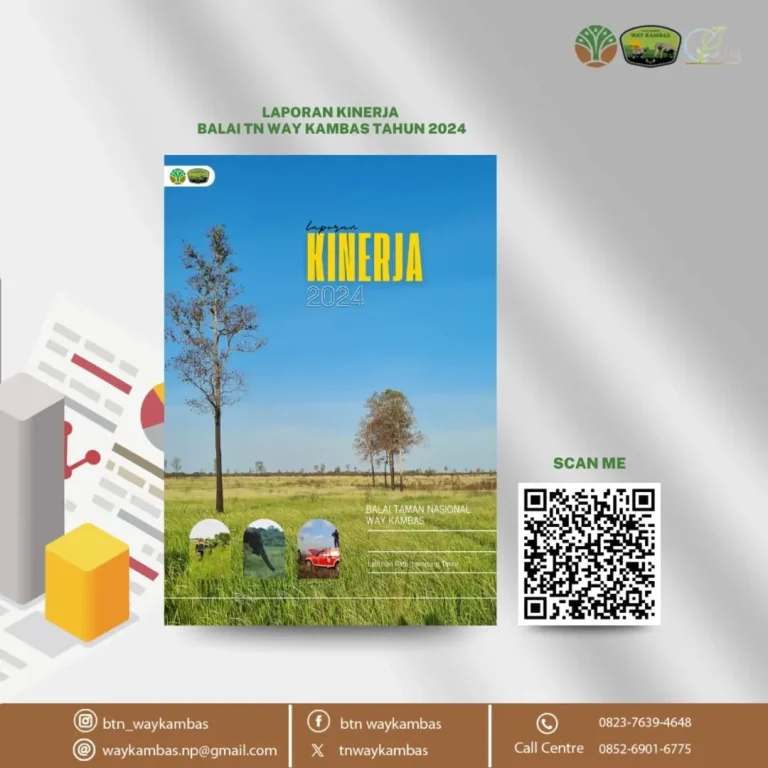 SaveClip.App_474755258_18370310809186934_1426292534237377003_n