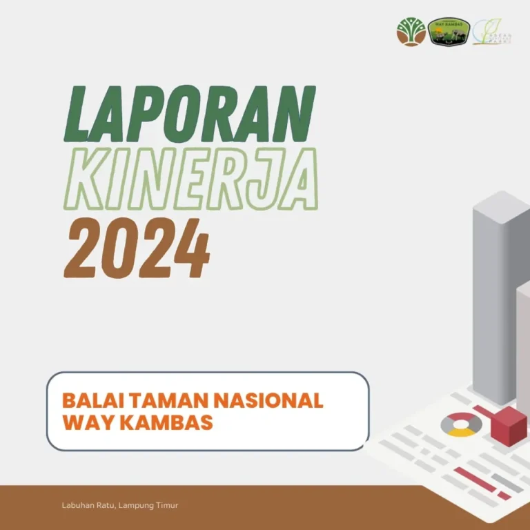 SaveClip.App_474783184_18370310800186934_3743490737897780992_n