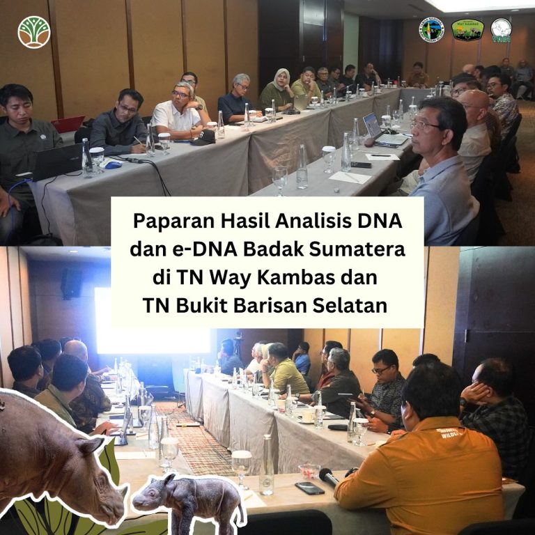 SaveClip.App_474941734_18394344673101684_3506443821266777267_n