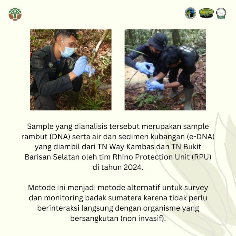 SaveClip.App_475031873_18394344637101684_2164621567921814106_n