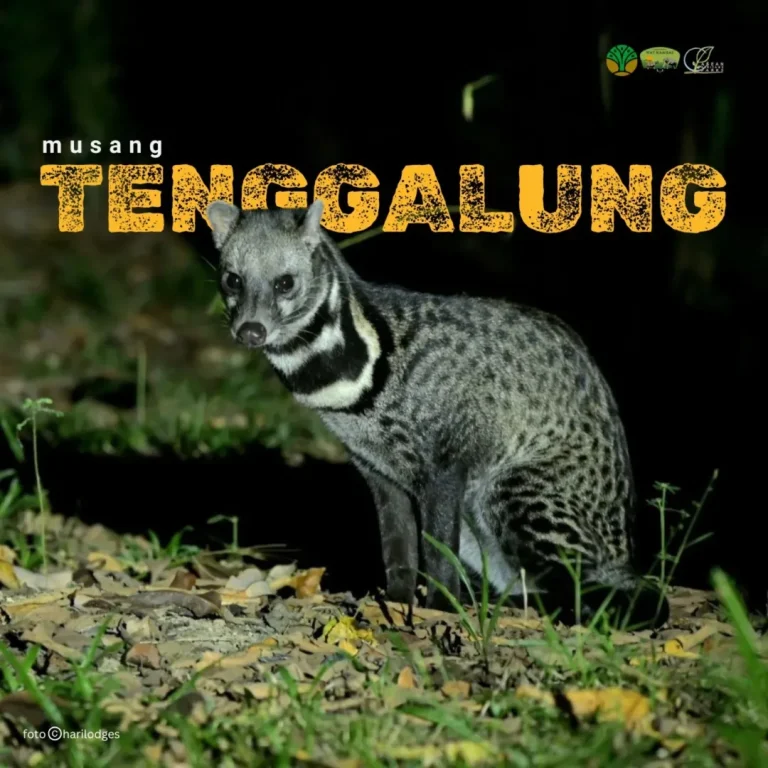 SaveClip.App_484150404_18376690681186934_80758814665108048_n