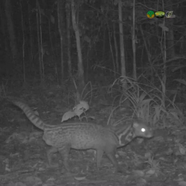 SaveClip.App_484298982_18376690750186934_3813385821916805387_n