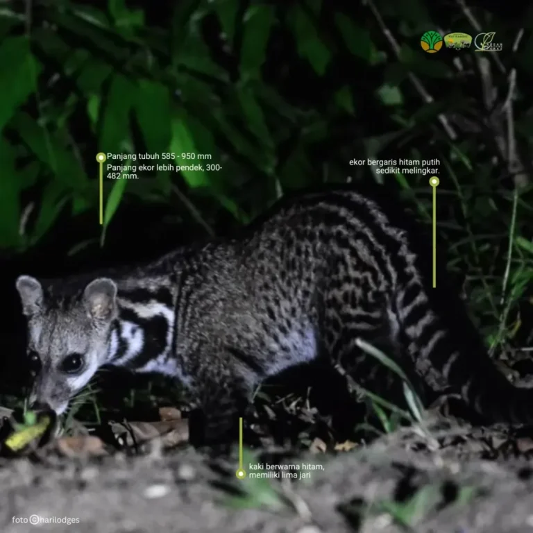 SaveClip.App_484372595_18376690702186934_6203801284461387782_n