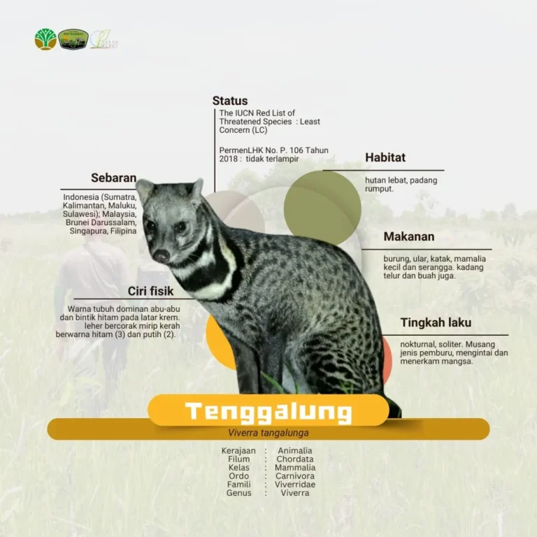 SaveClip.App_484553761_18376690693186934_4532041140614366479_n