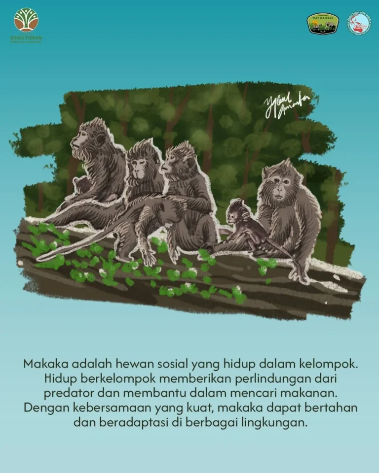 SaveClip.App_487064873_18322750117205108_9174094832919325088_n