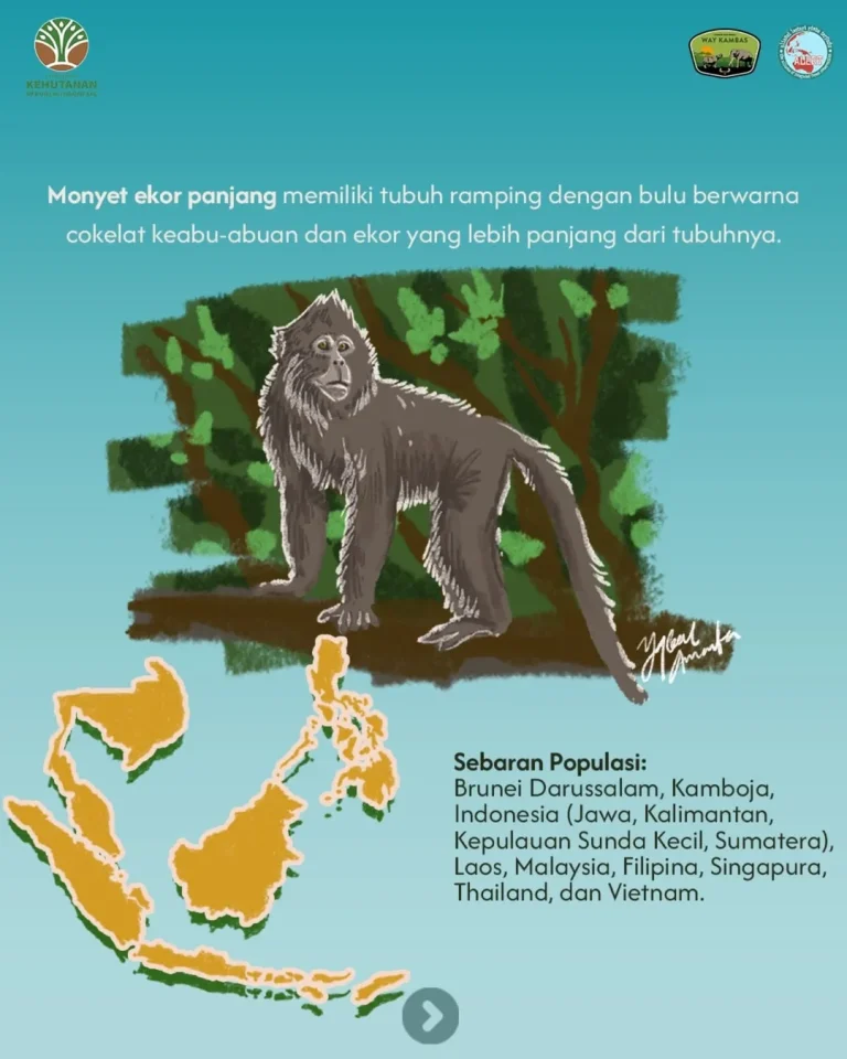 SaveClip.App_490416766_18322750108205108_4834237900597268436_n