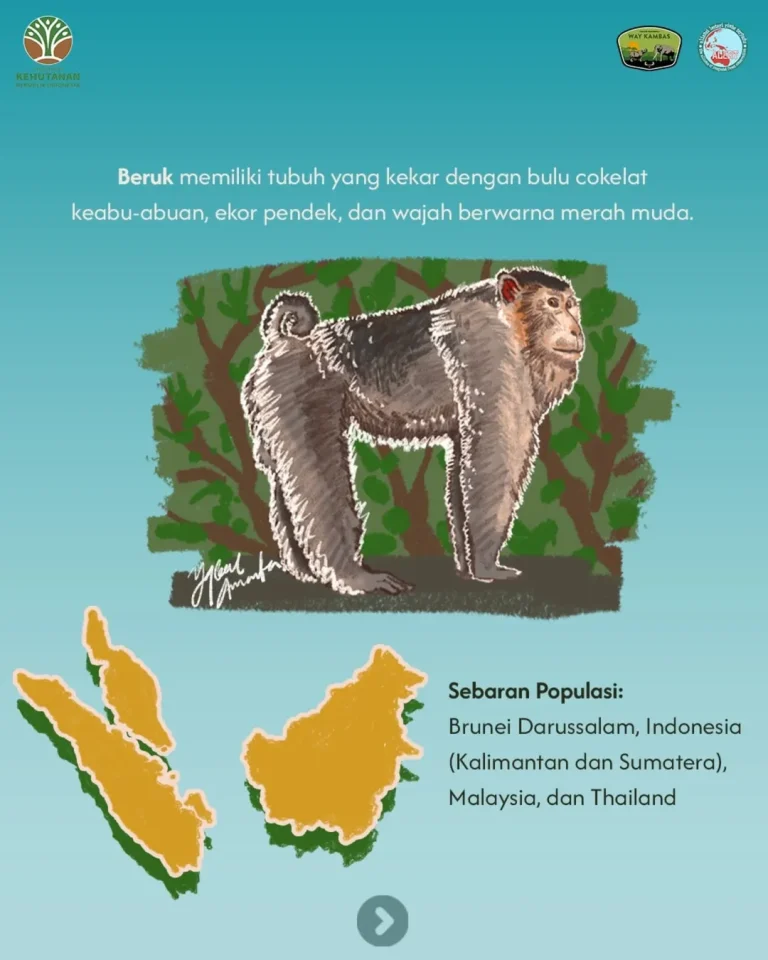 SaveClip.App_491504818_18322750090205108_4853616295263221863_n