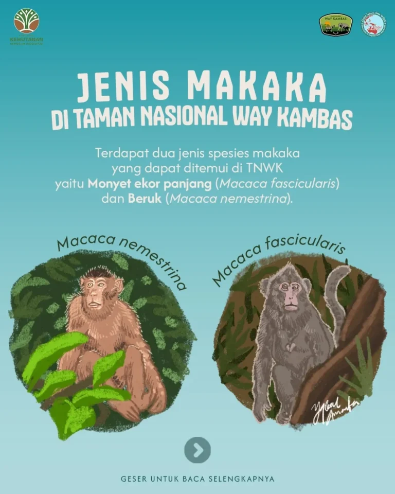 SaveClip.App_491586248_18322750099205108_5171257202758172030_n