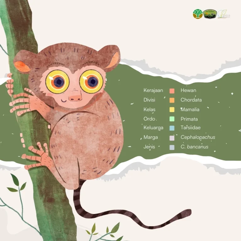 SaveClip.App_497401977_18384375343186934_720552500571835196_n