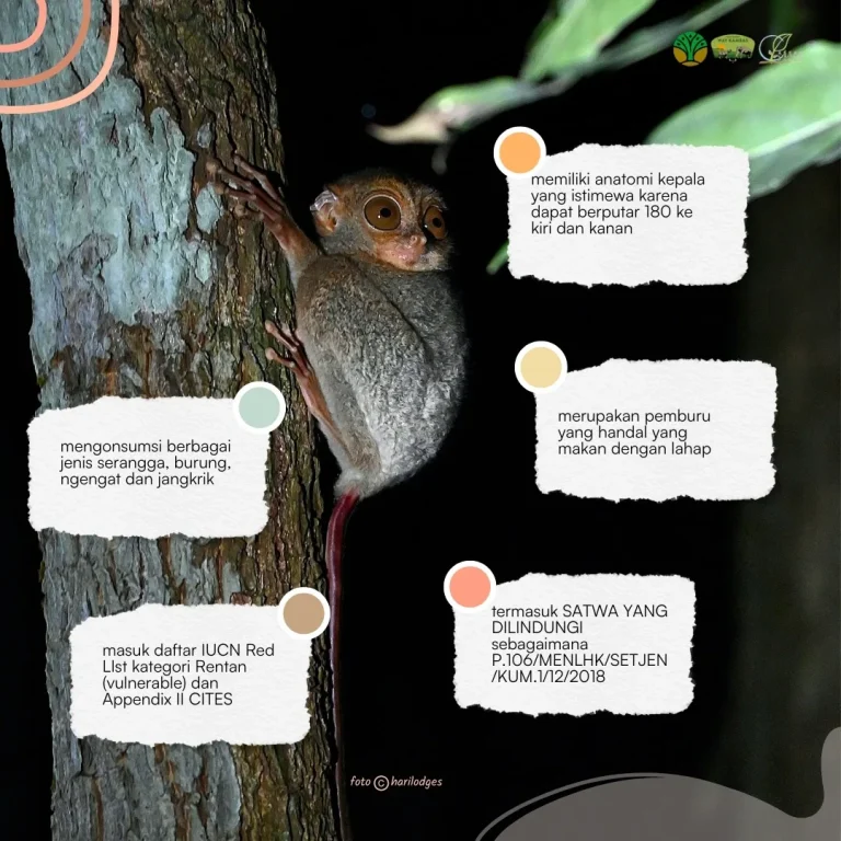 SaveClip.App_498241463_18384375334186934_1109634320843476483_n