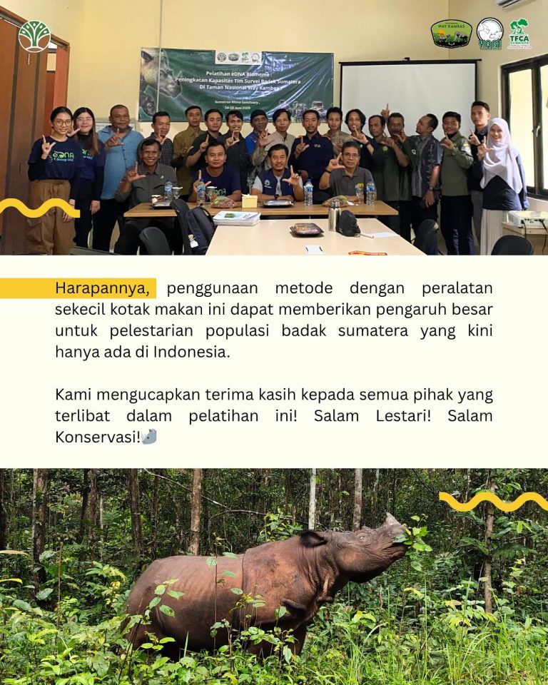 SaveClip.App_504643470_18418053679101684_7596428670252906654_n