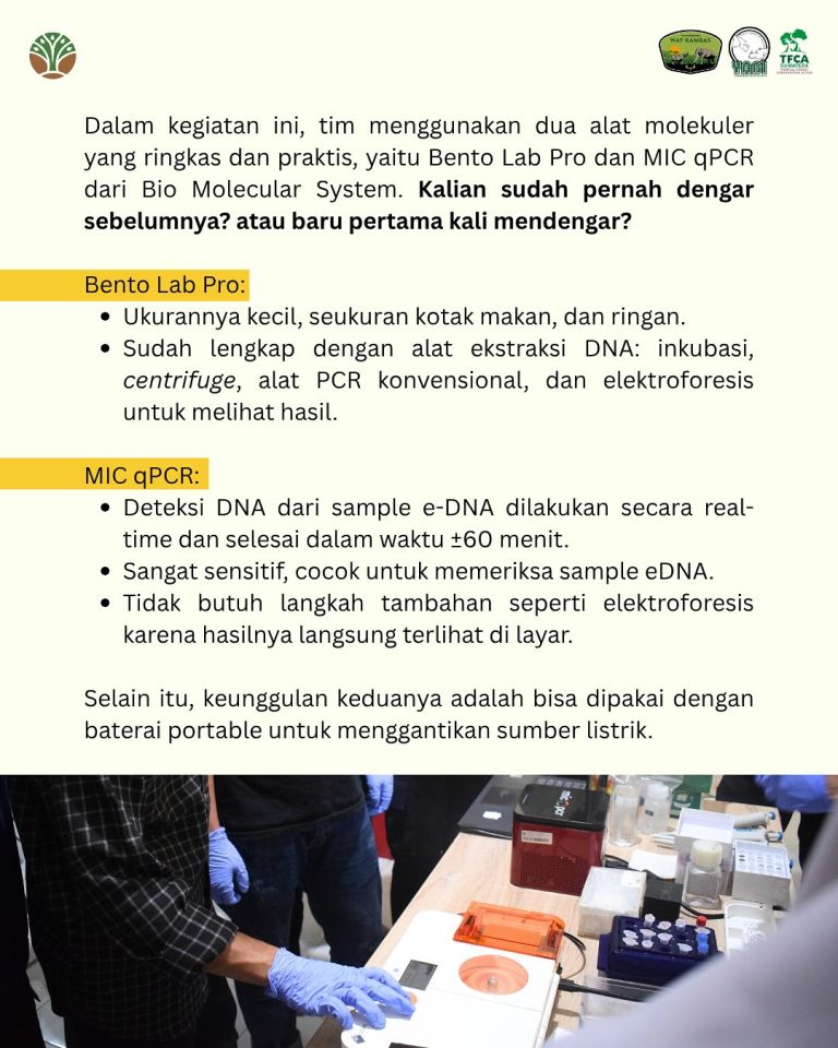 SaveClip.App_504646861_18418053649101684_5402600977904406494_n