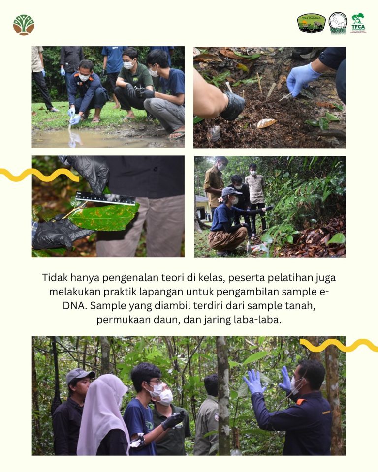 SaveClip.App_513907347_18418053667101684_1041744702791752534_n