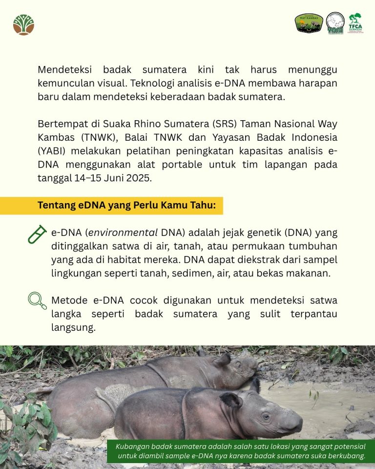 SaveClip.App_514248856_18418053634101684_3745304991036402708_n