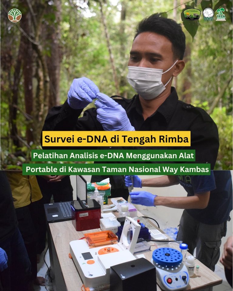 SaveClip.App_514393423_18418053625101684_5662953062434455234_n