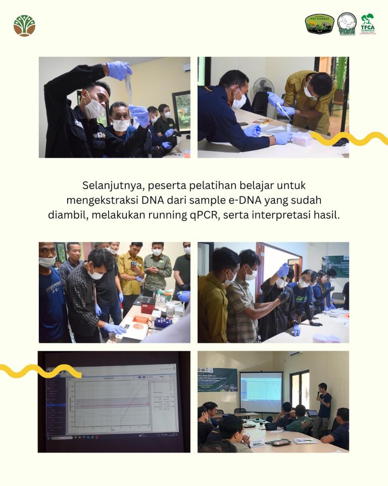 SaveClip.App_514688976_18418053670101684_3667648336144112082_n