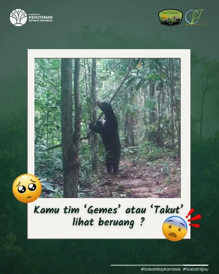 SaveClip.App_516811338_18391515067186934_1194710978255709090_n