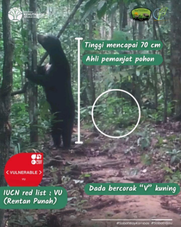 SaveClip.App_516865534_18391515190186934_524921288572624662_n