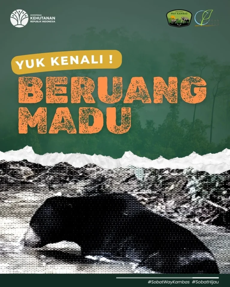 SaveClip.App_517075014_18391515049186934_1290081983170731957_n